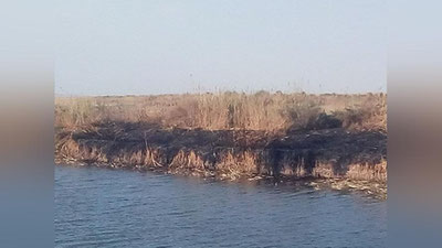 Изрображение 'На озере Судочье произошел пожар (видео)'