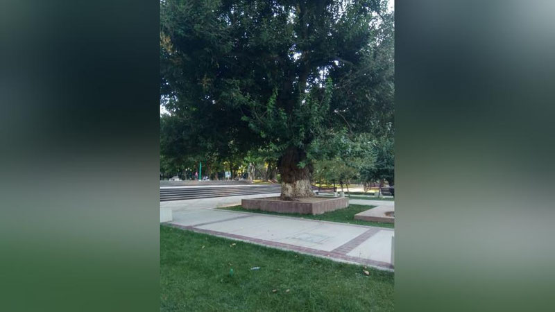 Изрображение 'Прогноз погоды на 9 августа'