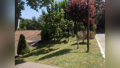 Изрображение 'В Узбекистане на юге до +38: погода на 15 сентября'