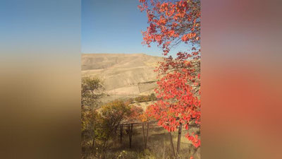 Изрображение 'В Узбекистане до +13: погода на 15 ноября'