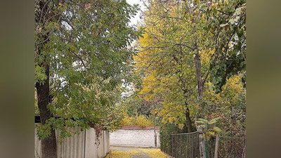 Изрображение 'В Ташкенте до +11: погода на 22 октября'