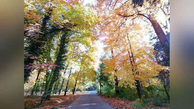 Изрображение 'В Ташкенте +26: погода на 12 сентября'