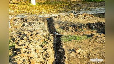 Изрображение 'Пресс-служба хокимията Яккасарайского района ответила на критику о засыхающих деревьях в парке "Дустлик"'