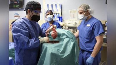 Изрображение 'В США врачи впервые успешно пересадили человеку сердце свиньи'