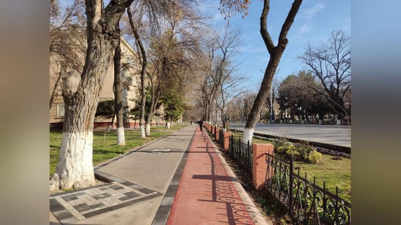 Изрображение 'В Ташкенте потеплеет: погода на 27 января'