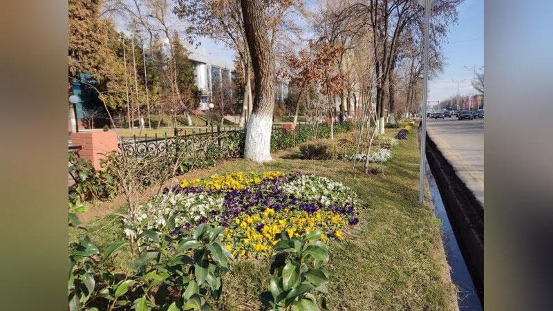 Изрображение 'Сегодня днем в Ташкенте будет очень тепло'