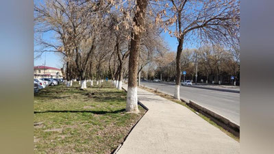 Изрображение 'Потепление в Узбекистане продолжается: погода на 18 февраля'