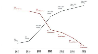 Изрображение 'МОТ: Узбекский хлопок свободен от системного детского труда и принудительного труда'