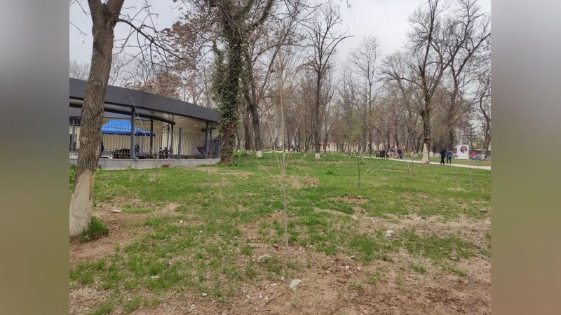 Изрображение 'Узгидромет обещает температуру воздуха до +19: погода на 25 марта'