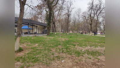 Изрображение 'Узгидромет обещает температуру воздуха до +19: погода на 25 марта'