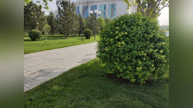 Изрображение 'В Ташкенте +29: погода на 9 апреля'