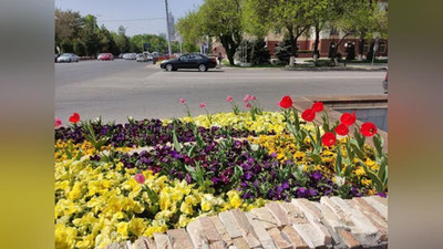 Изрображение 'Температура воздуха нарастает: погода на 13 апреля'