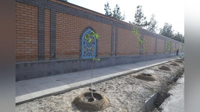 Изрображение 'Озеленительную инициативу «Яшил макон» подхватят страны-участники и наблюдатели ОТГ'