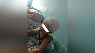 Изрображение 'В Минздраве рассказали о состоянии здоровья 3-летнего мальчика, укушенного львёнком'