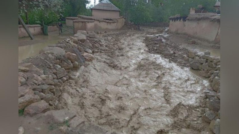 Изрображение 'В Узунском районе Сурхандарьи затопило десятки жилых домов'