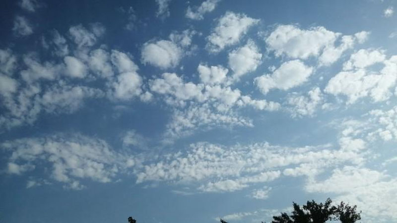 Изрображение 'Будет ли в Ташкенте дождь: прогноз погоды на 19 мая'