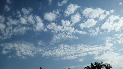 Изрображение 'Будет ли в Ташкенте дождь: прогноз погоды на 19 мая'