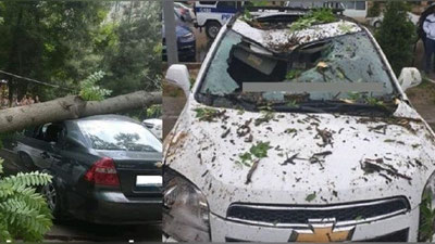 Изрображение 'Водителей Ташкента просят не оставлять автомобили под деревьями и конструкциями'