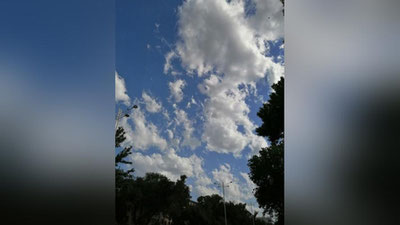 Изрображение 'В Ташкенте воздух прогреется до +32: погода на 4 июня'