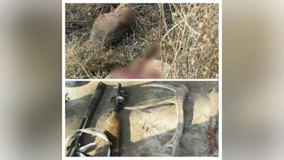 Изрображение 'Вынесен приговор браконьерам, убившим бухарского оленя в Каракалпакстане'