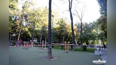 Изрображение 'В столичном парке  «Голубые купола» спилят высохшие деревья'