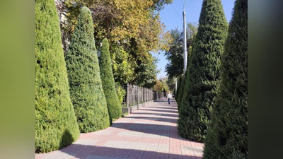 Изрображение 'В Ташкенте +24: погода на 10 октября'