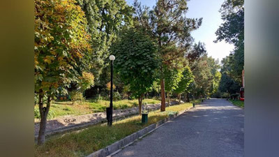 Изрображение 'Комфортная теплая погода продолжит радовать узбекистанцев'