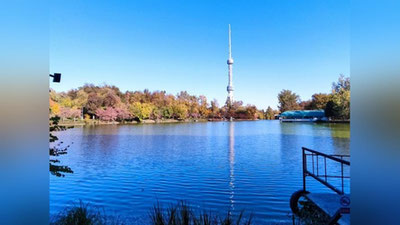 Изрображение 'В Ташкенте воздух прогреется до +24'