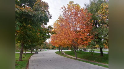 Изрображение 'В выходные дни осадков не ожидается,  - Узгидромет'