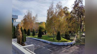 Изрображение 'В столице к вечеру дождь: погода на 18 ноября'