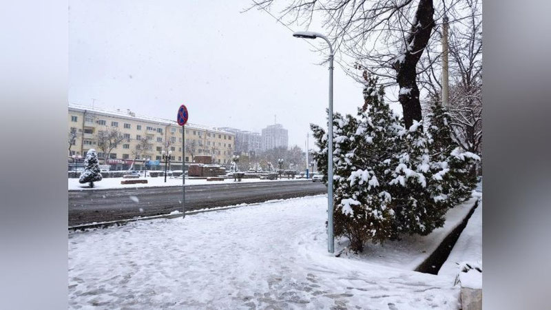 Изрображение 'В Ташкенте снег, туман и гололедица: погода на 10 января'