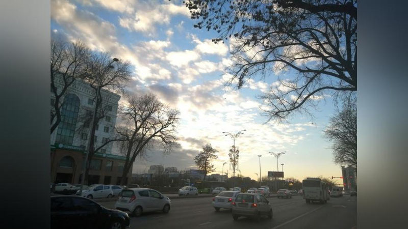 Изрображение 'В Ташкенте до +19: погода на 3 марта'