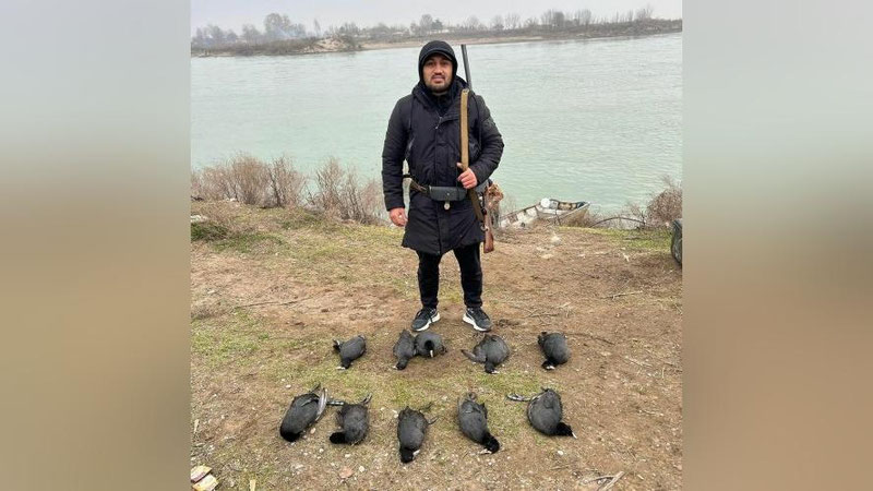 Изрображение 'Боксера Фазлиддина Гаибназарова раскритиковали за фото с убитыми птицами в соцсетях'