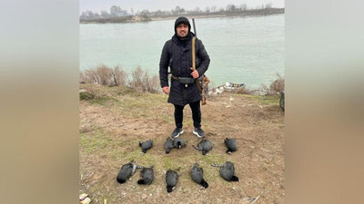 Изрображение 'Боксера Фазлиддина Гаибназарова раскритиковали за фото с убитыми птицами в соцсетях'