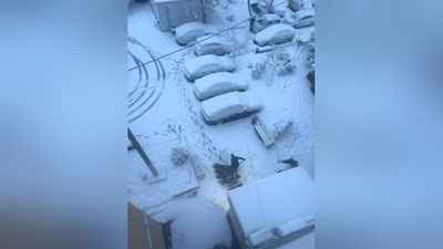 Изрображение 'В Ташкенте не прекращается снегопад: улицы очищают, автомобили просят не ставить под деревьями'