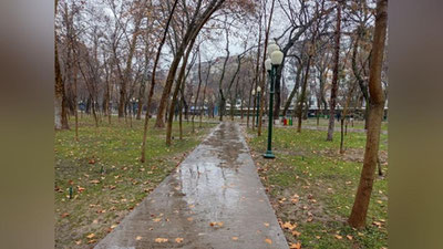 Изрображение 'В Ташкенте во второй половине дня дождь: погода на 8 февраля'