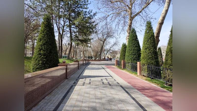 Изрображение 'В Ташкенте +22: погода на 15 марта'