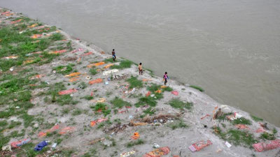 Изрображение 'Трупы умерших от ковида начали массово всплывать на севере Индии (видео, 16+)'