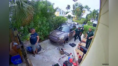 Изрображение 'Во Флориде крики попугая приняли за крики о помощи и вызвали полицию (видео)'