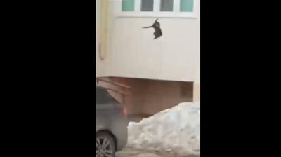 Изрображение 'ЖИТЕЛЬНИЦА БАШКИРИИ ПРОГНАЛА ЛОСЯ, БРОСИВ В НЕГО ... КОТА (ВИДЕО)'