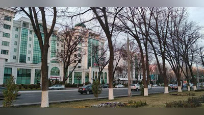 Изрображение 'Синоптики рассказали о погоде на 8 марта'