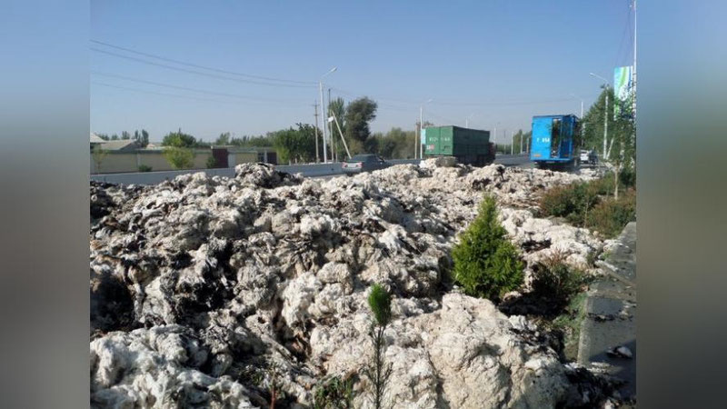 Изрображение 'В САМАРКАНДСКОЙ ОБЛАСТИ СГОРЕЛО 20 ТЮКОВ С ХЛОПКОМ'