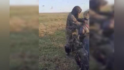 Изрображение 'Якутию атаковали полчища мошкары: шокирующее видео'