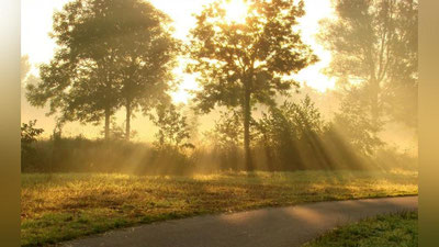 Изрображение 'Синоптики рассказали о погоде на новой рабочей неделе'