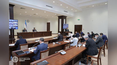 Изрображение 'Шестнадцатое пленарное заседание Сената завершило свою работу (видео)'