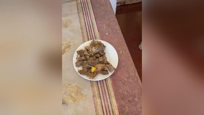 Изрображение 'В детсаду в Бухарской области варили суп на 150 детей из 300 граммов мяса (видео)'