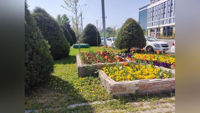 Изрображение 'Выходные будут сухими и умеренно жаркими: прогноз от  Узгидромета'