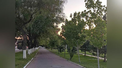 Изрображение 'В Ташкенте воздух прогреется до +27'