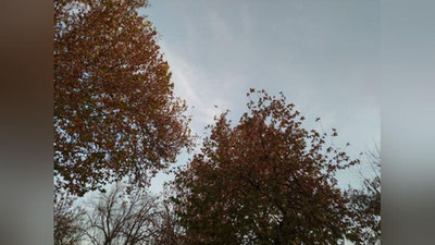 Изрображение 'В Узбекистане 4 декабря воздух прогреется до +20'