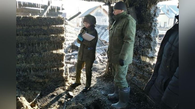 Изрображение 'Трое узбекистанцев погибли при пожаре в арендованном доме в Томской области'